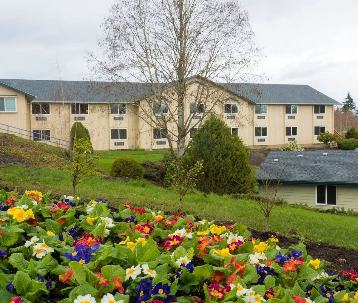 Exterior view of Portland detox center — shrub
