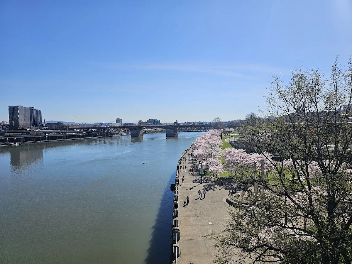 Portland detox center — daytime