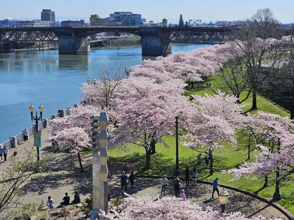 Multnomah County Mental Health