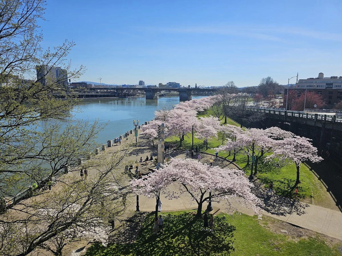 Multnomah County Mental Health