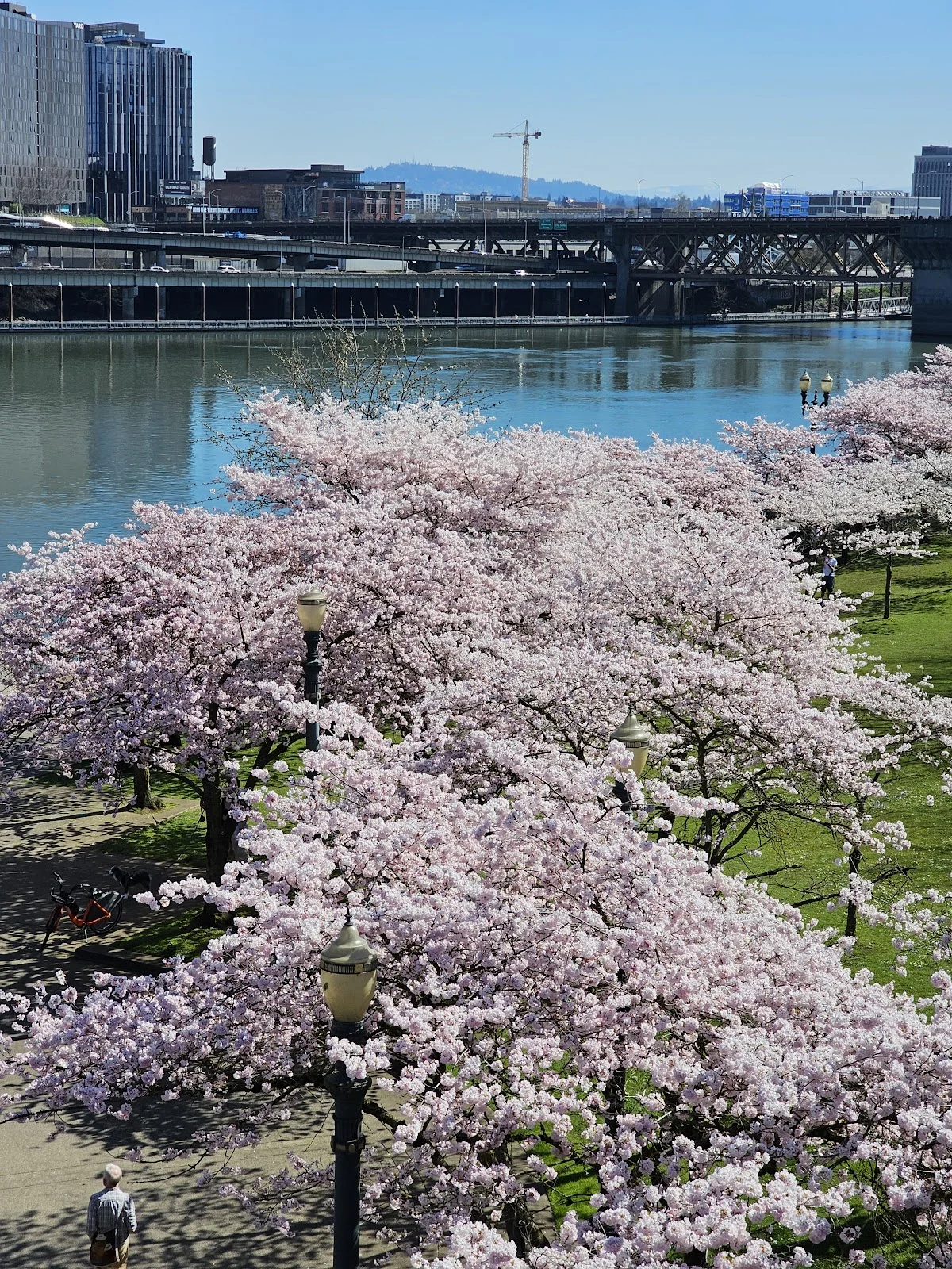 Multnomah County Mental Health