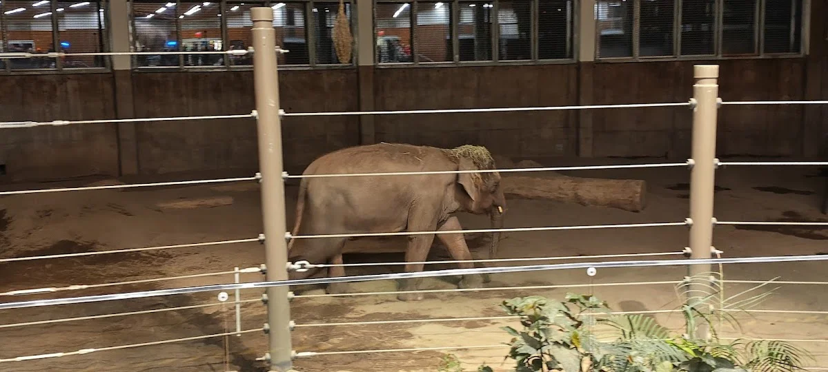 Portland Detox Support & Resource