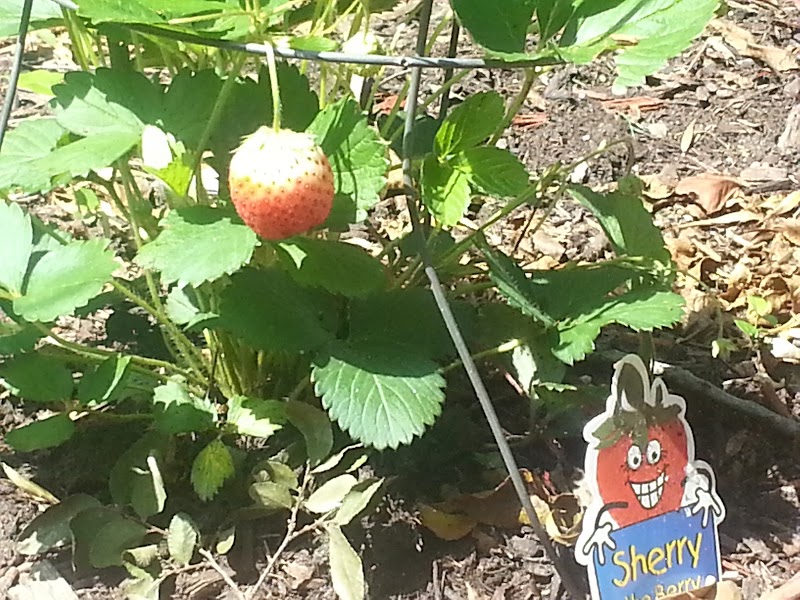 Oxford House North Park - Photo 1