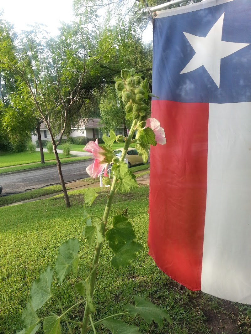 Oxford House North Park - Photo 2