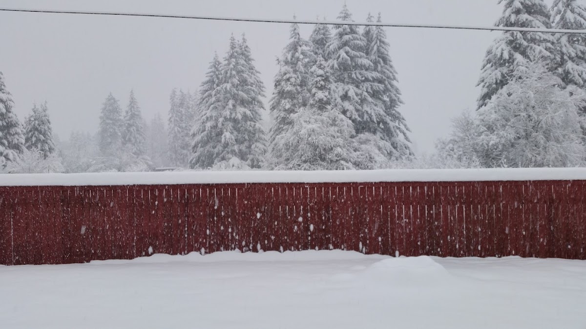 Oxford House Reserve Ridge - Foto 6