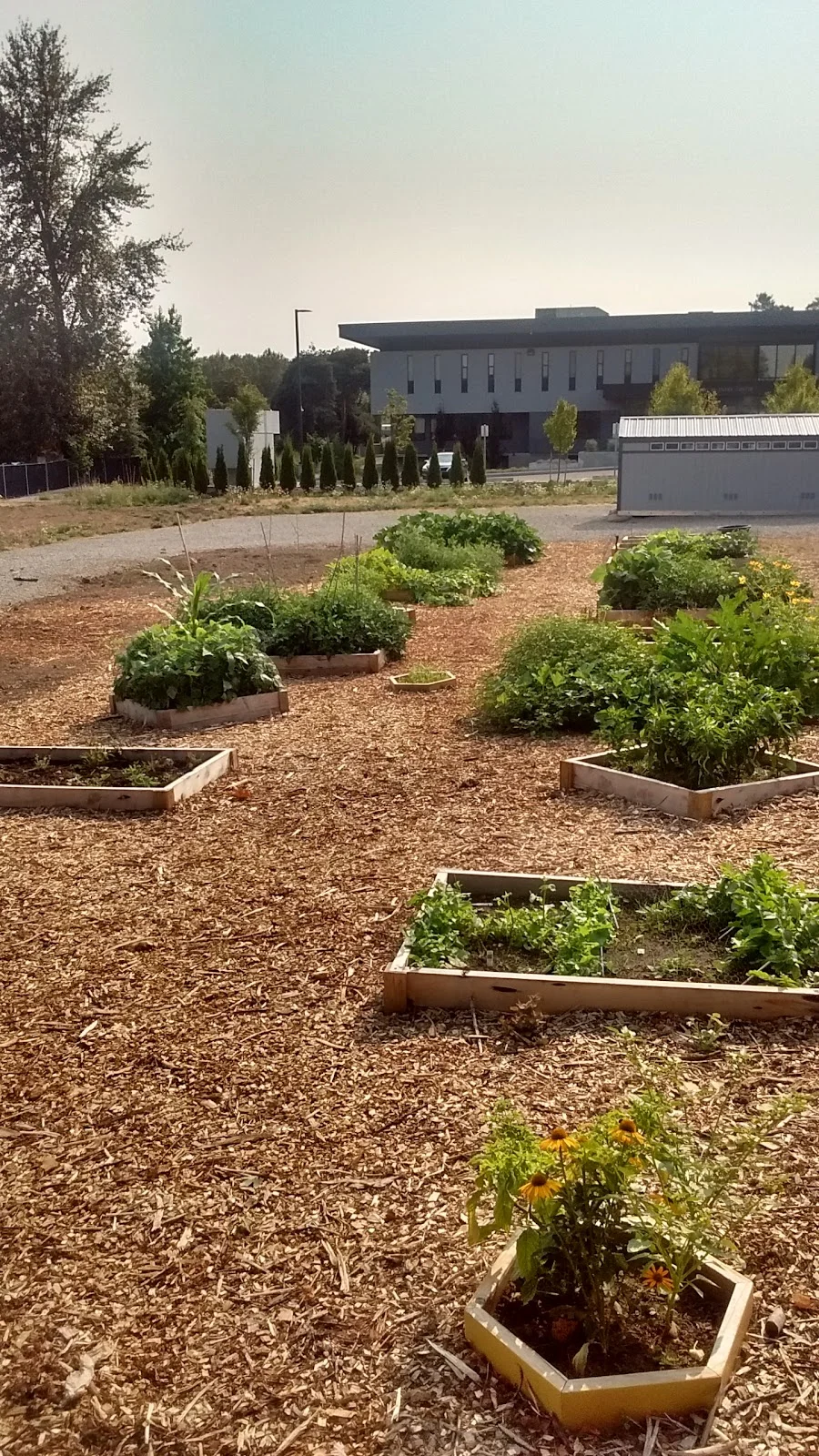 The Northwest Regional Re-entry Center (NWRRC) - Photo 5