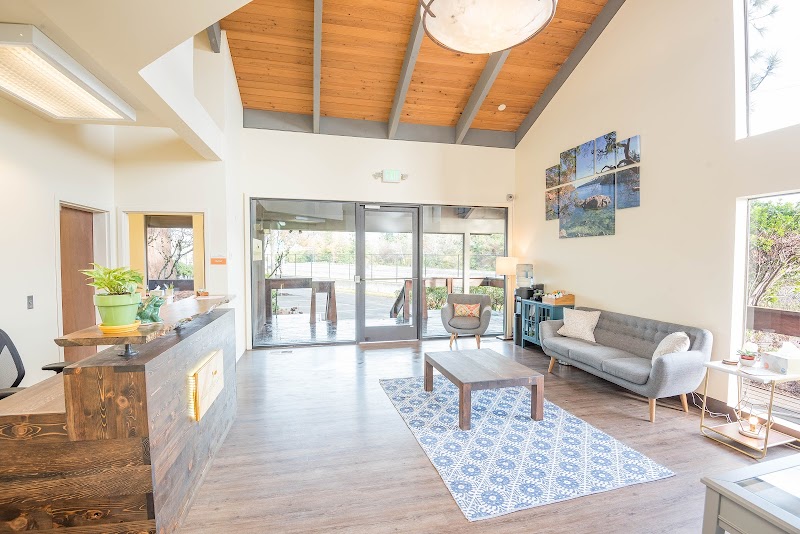 Madrona Recovery - Photo 3