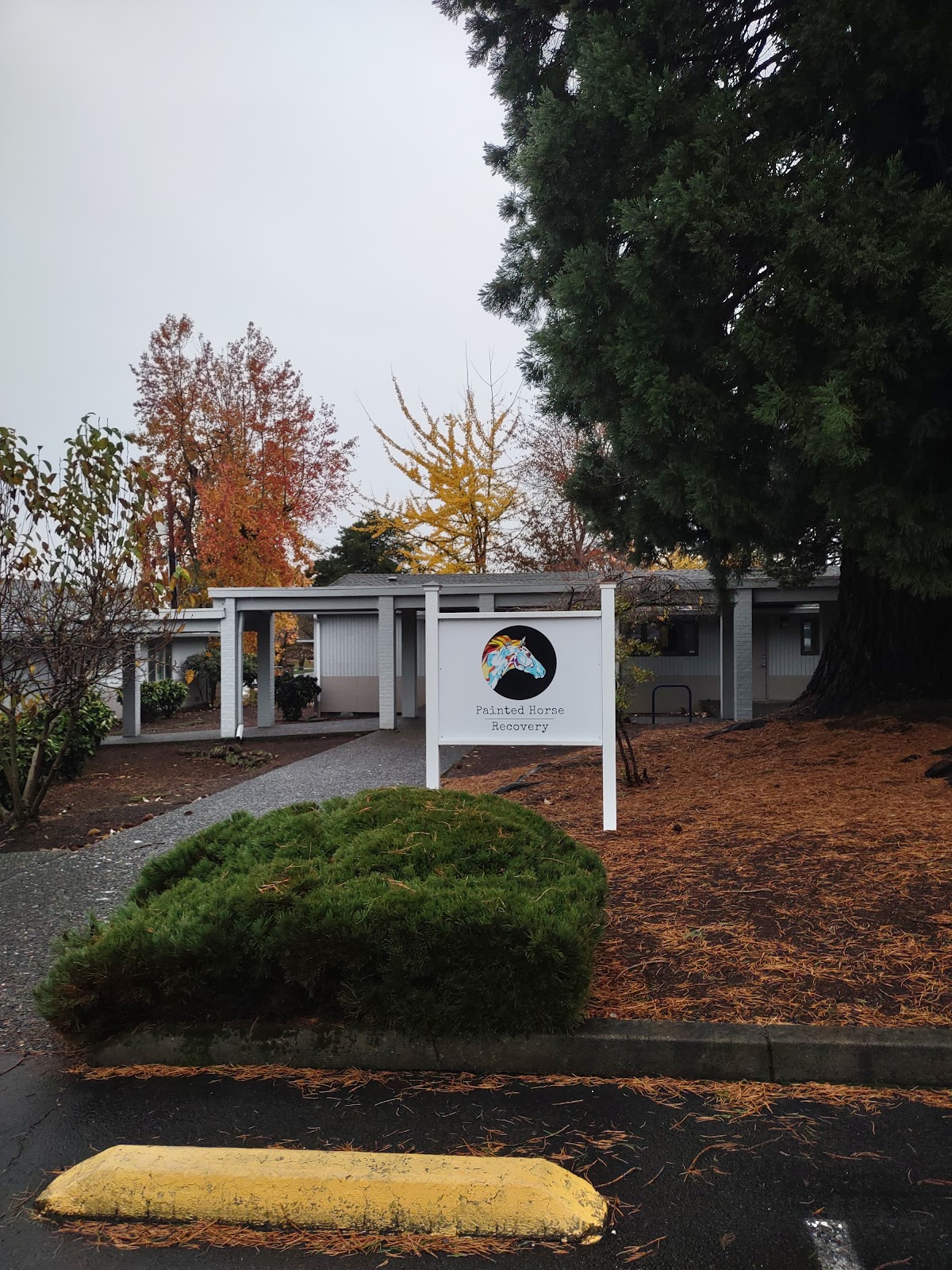 Painted Horse Recovery - Photo 6