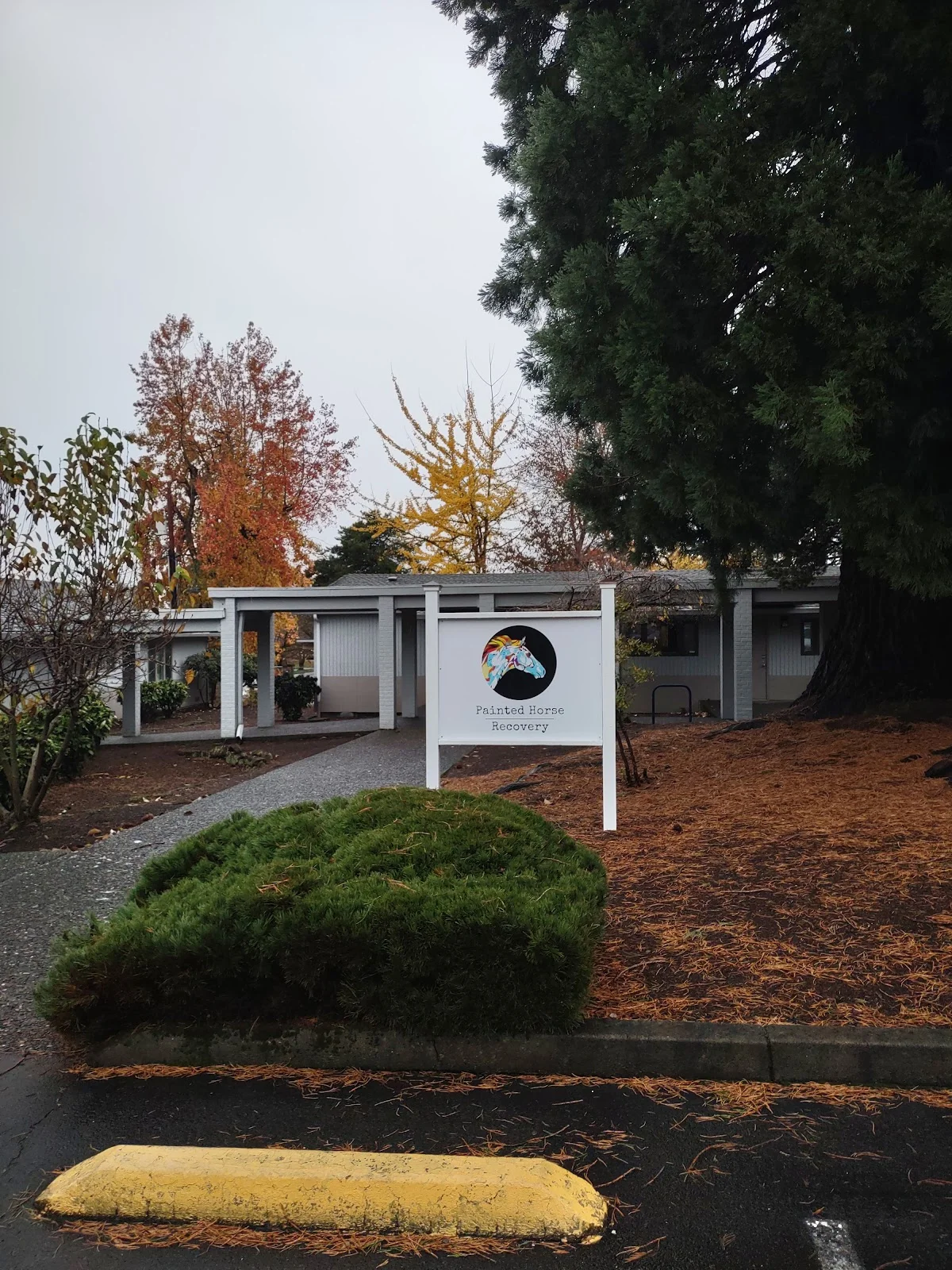 Painted Horse Recovery