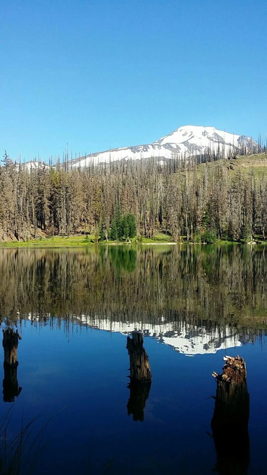 NARA Residential Treatment Center - Photo 4