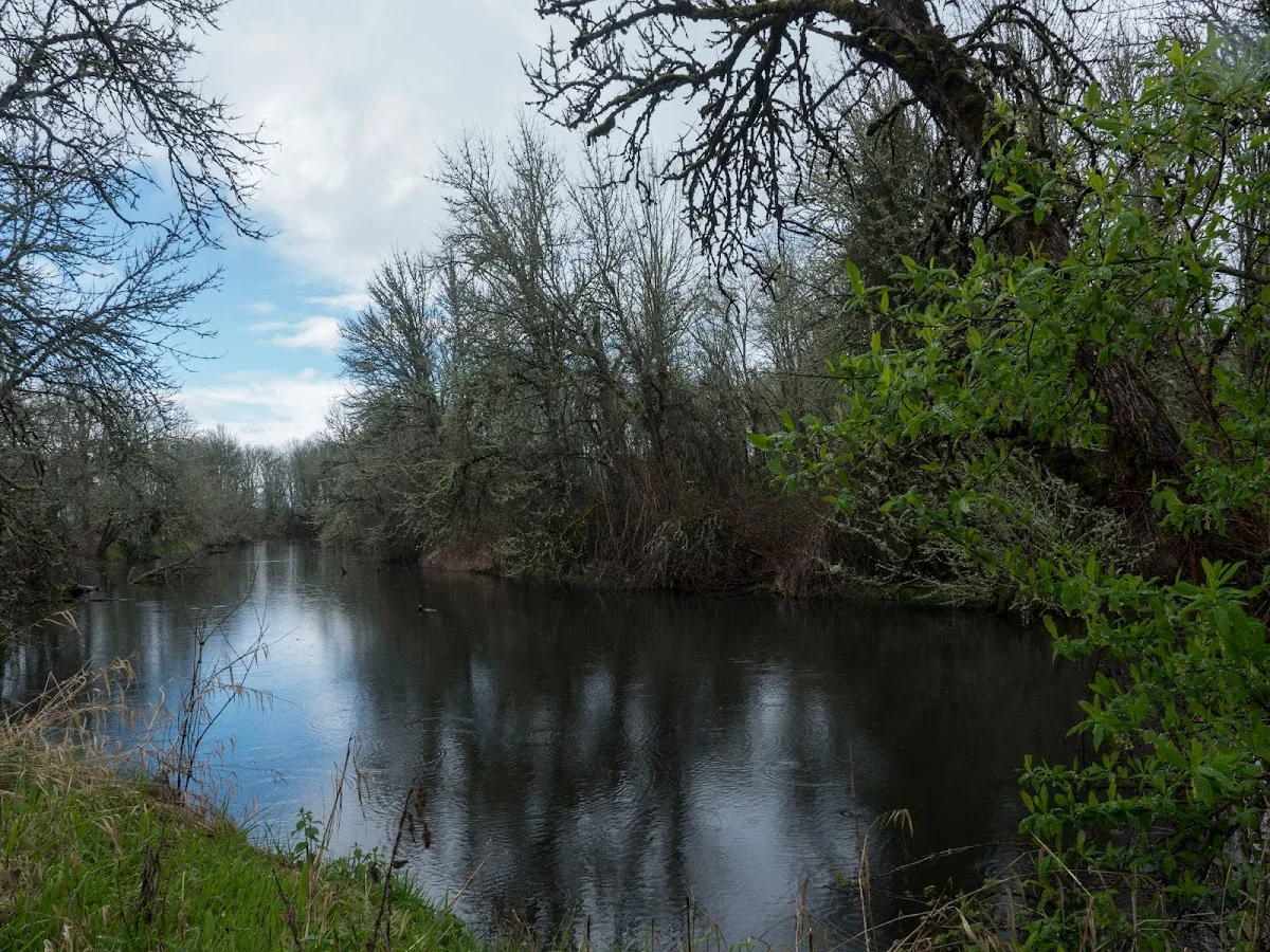 The Recovery Village Ridgefield Drug and Alcohol Rehab - Photo 2