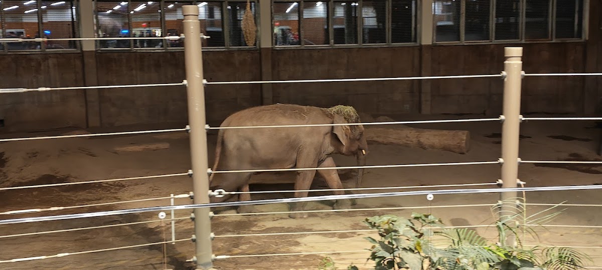 Portland Detox Support & Resource - Photo 2